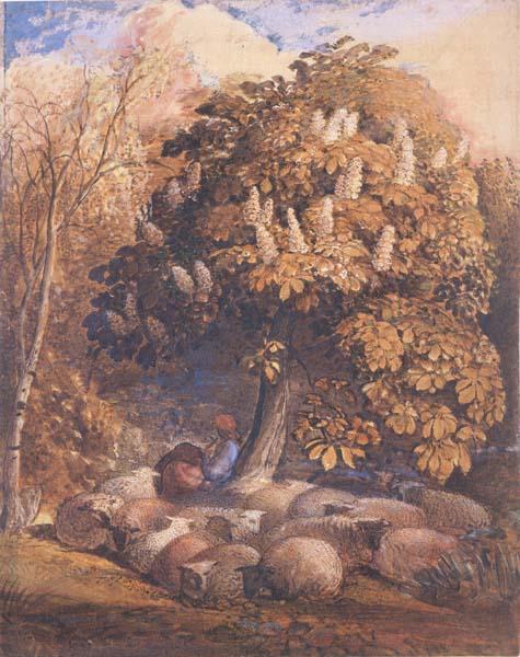Samuel Palmer Pastoral with a Horse Chestnut Tree oil painting picture
